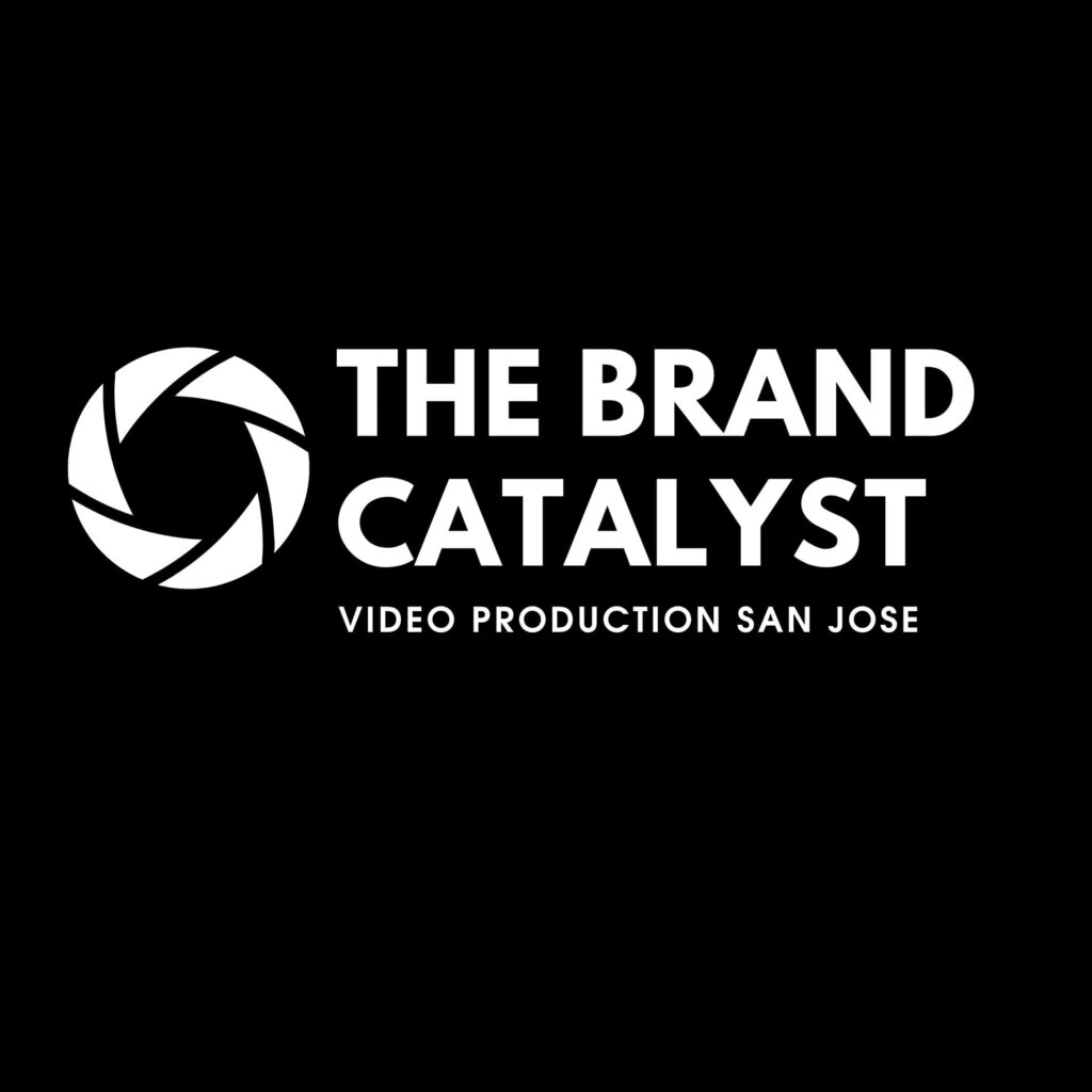the brand catalyst logo